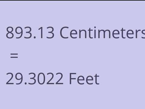 893.13 CM TO FEET