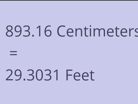 893.16 CM TO FEET