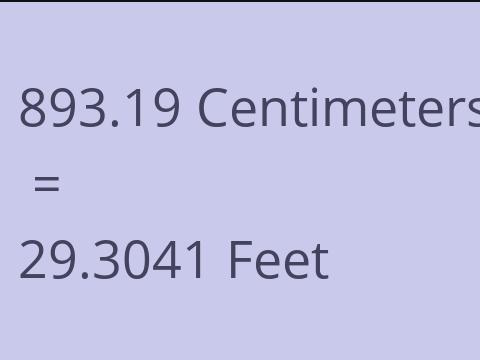 893.19 CM TO FEET