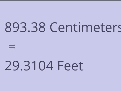 893.38 CM TO FEET