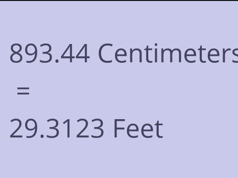 893.44 CM TO FEET