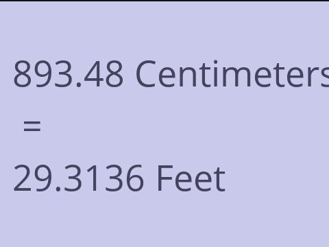 893.48 CM TO FEET