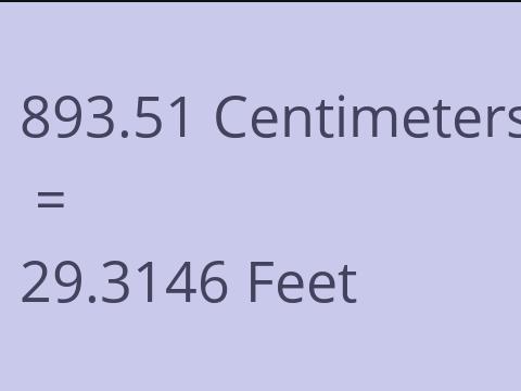 893.51 CM TO FEET