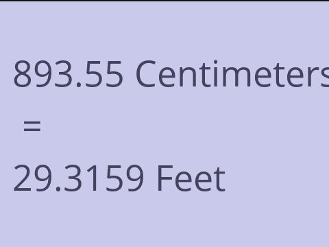 893.55 CM TO FEET