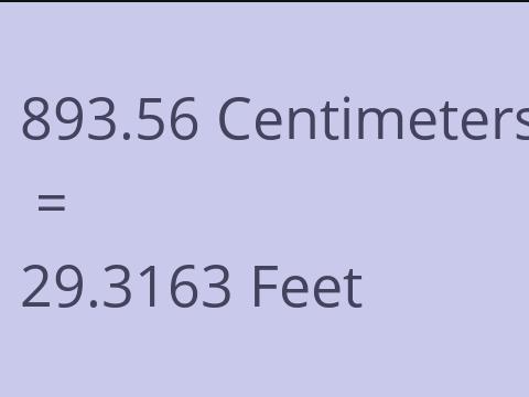 893.56 CM TO FEET