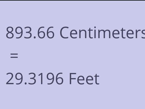 893.66 CM TO FEET