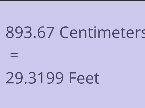 893.67 CM TO FEET