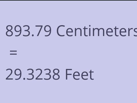 893.79 CM TO FEET