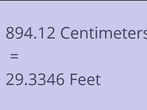 894.12 CM TO FEET