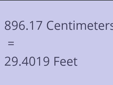 896.17 CM TO FEET