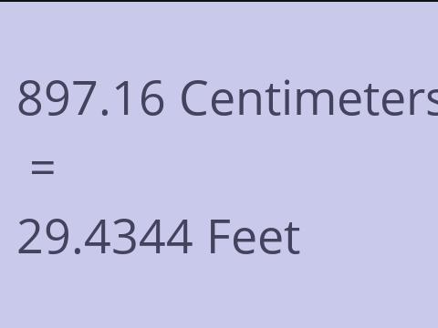 897.16 CM TO FEET