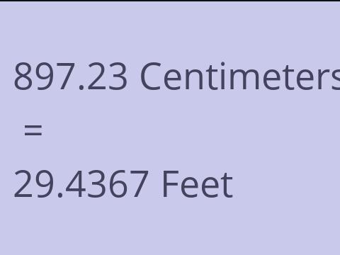 897.23 CM TO FEET