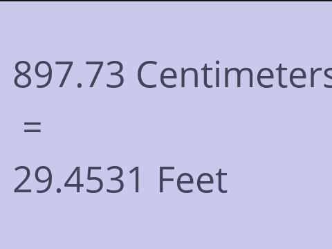 897.73 CM TO FEET