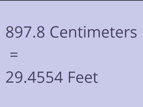 897.8 CM TO FEET