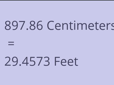 897.86 CM TO FEET