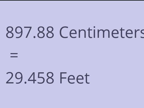 897.88 CM TO FEET