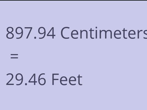 897.94 CM TO FEET