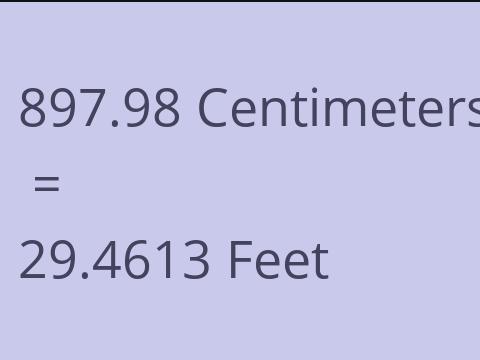 897.98 CM TO FEET