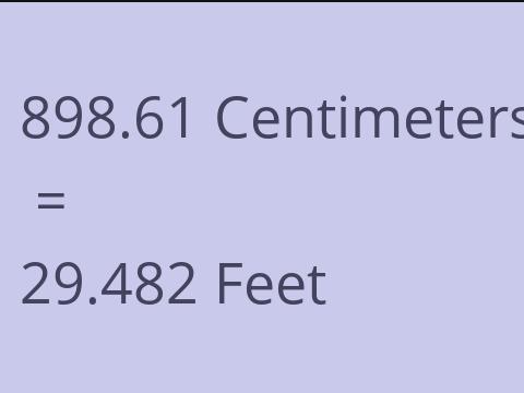 898.61 CM TO FEET