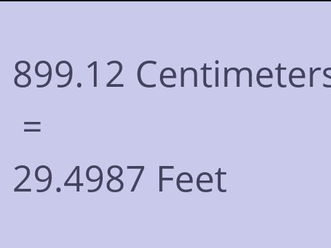 899.12 CM TO FEET