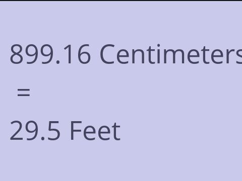 899.16 CM TO FEET