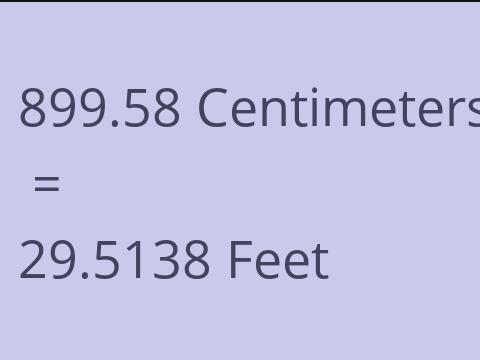 899.58 CM TO FEET