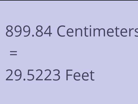 899.84 CM TO FEET