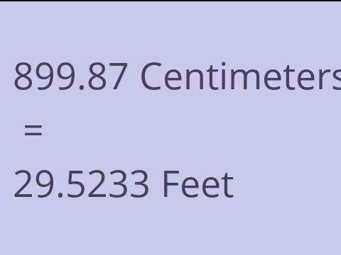 899.87 CM TO FEET