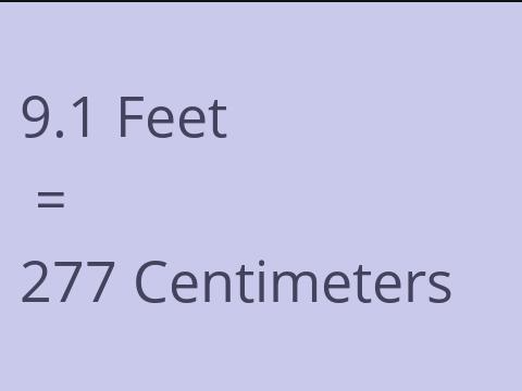 9.1 FEET TO CM