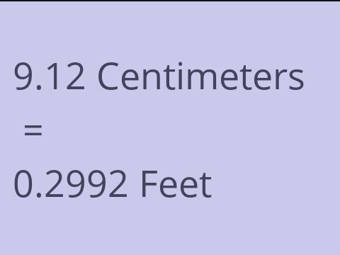 9.12 CM TO FEET