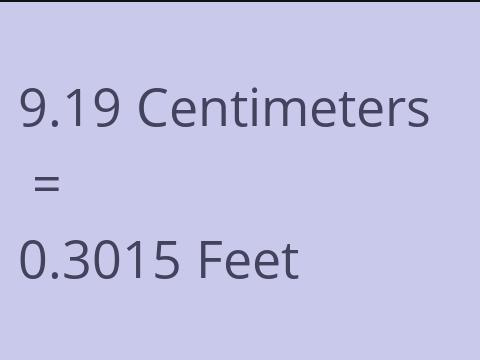 9.19 CM TO FEET