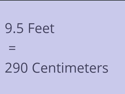 9.5 FEET TO CM