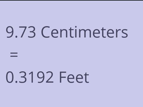 9.73 CM TO FEET