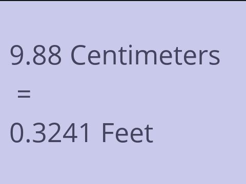 9.88 CM TO FEET