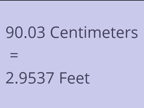 90.03 CM TO FEET