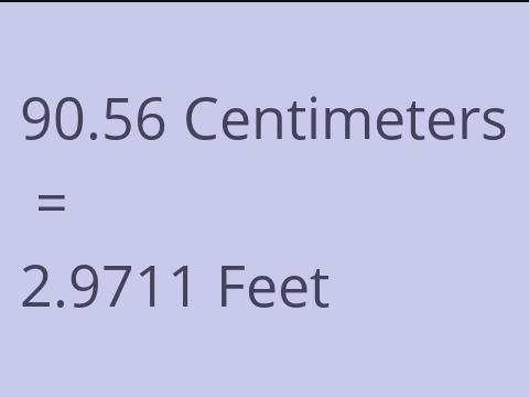 90.56 CM TO FEET