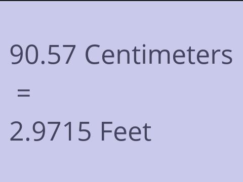 90.57 CM TO FEET