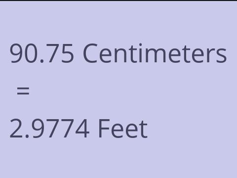 90.75 CM TO FEET