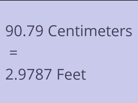 90.79 CM TO FEET