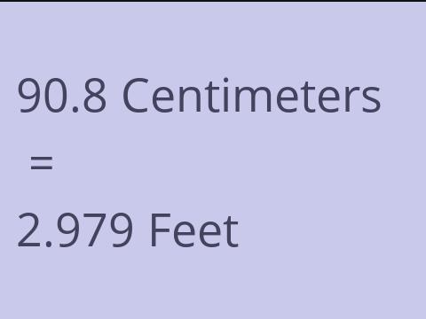 90.8 CM TO FEET