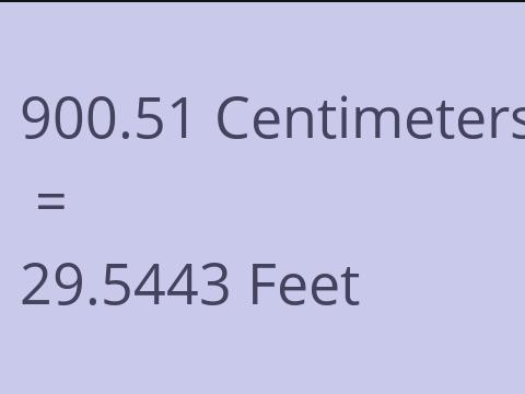 900.51 CM TO FEET