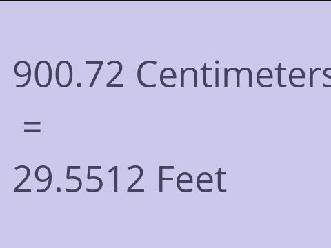 900.72 CM TO FEET