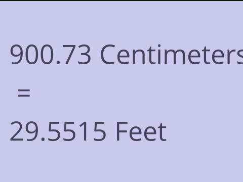 900.73 CM TO FEET