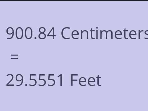 900.84 CM TO FEET