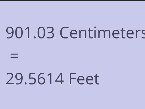 901.03 CM TO FEET