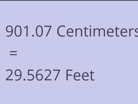 901.07 CM TO FEET