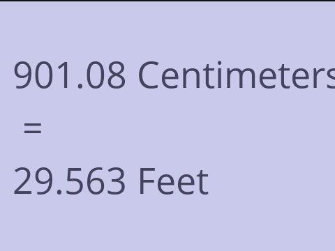 901.08 CM TO FEET