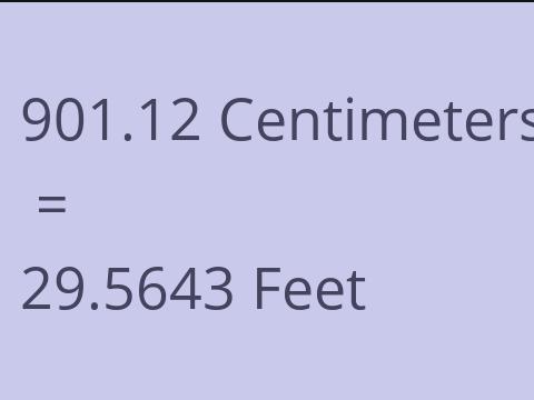 901.12 CM TO FEET