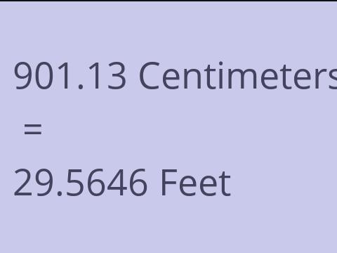 901.13 CM TO FEET