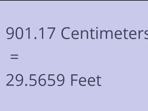 901.17 CM TO FEET